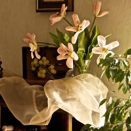 Boutique L Do Rado Szálloda