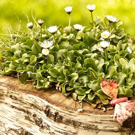 Szálloda Boutique L Do Rado 3*