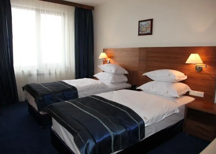 酒店 艾杜雷德精品酒店 3*