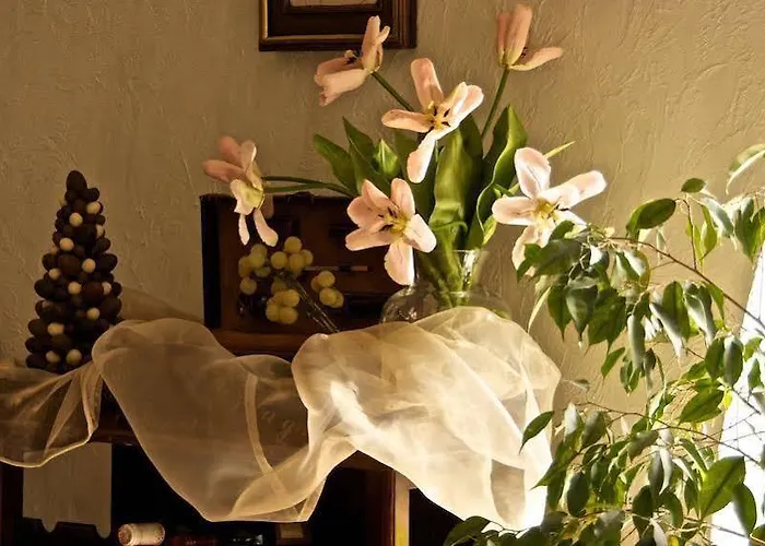 艾杜雷德精品酒店 酒店