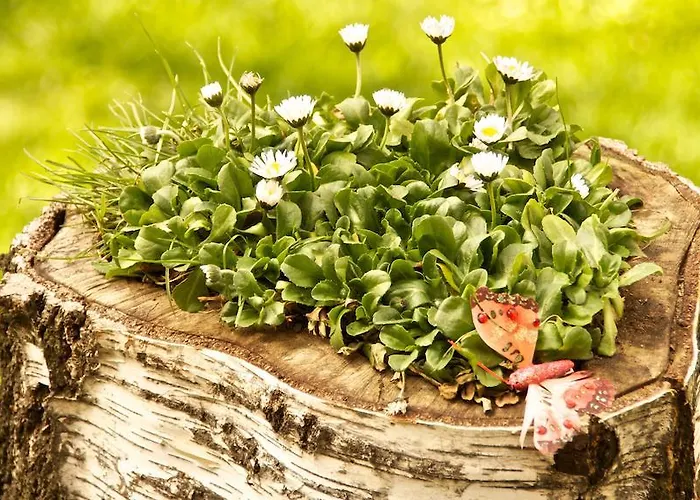 Otel Boutique L Do Rado 3*